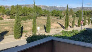 Vista de un área ajardinada con altos cipreses y cielo despejado.