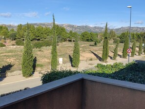 A view of a landscaped area with tall cypress trees and a clear sky.