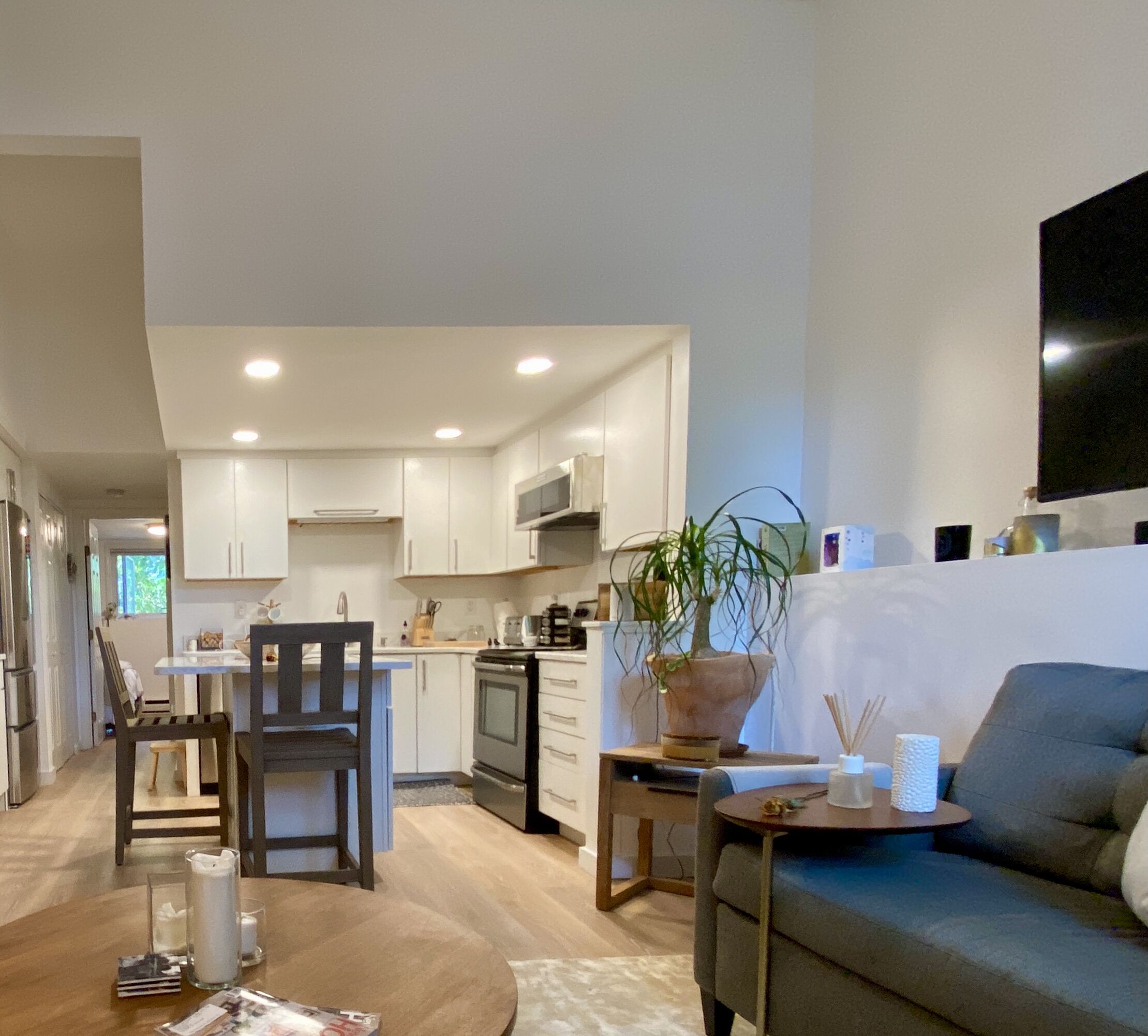 Modern apartment in Jamaica Plain  pondside, near Longwood Hospitals