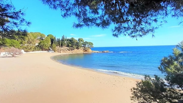 Una playa con aguas azules cristalinas, orilla arenosa y árboles al fondo.