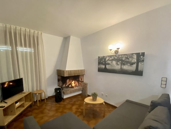 TV, fireplace