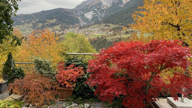 A garden with autumn foliage and a mountainous backdrop. - Apartment with conservatory, wonderful panorama and large terrace (Landeck)