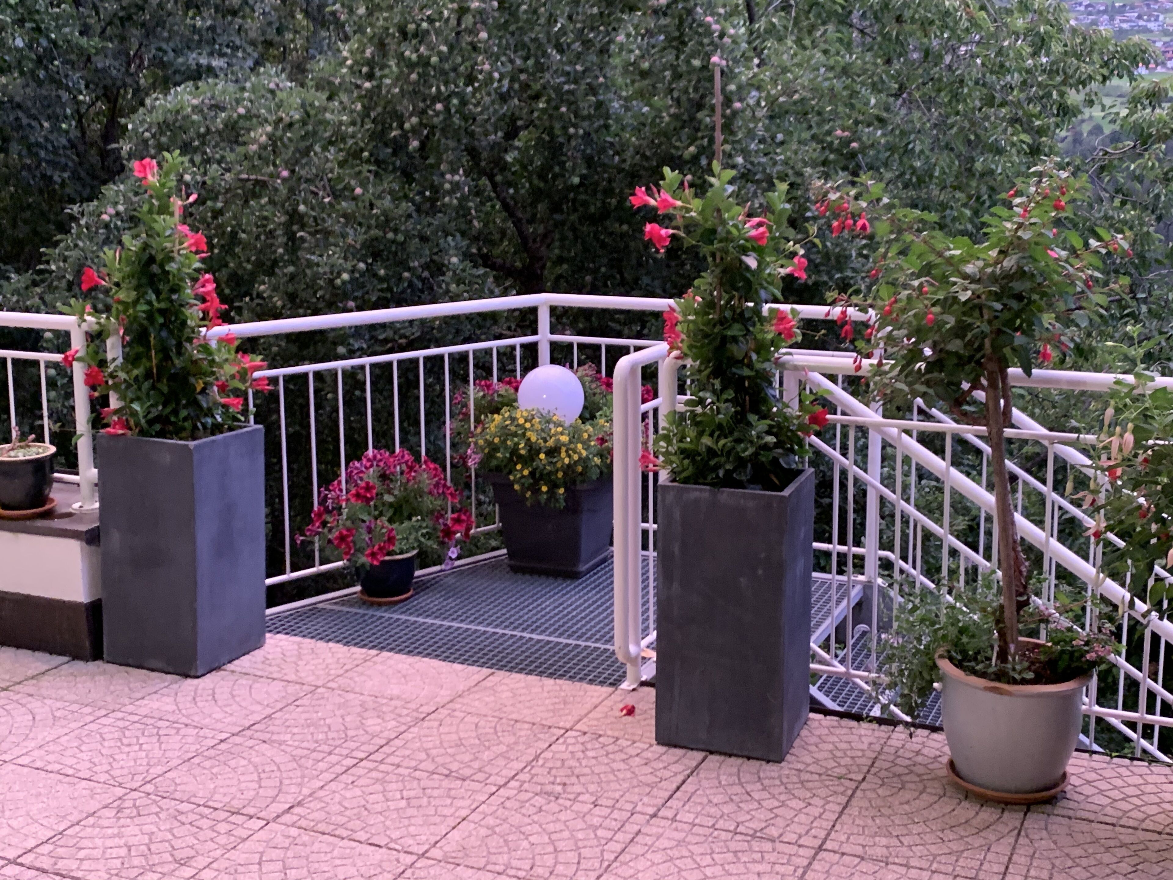 Ein Balkon mit Topfpflanzen und einem weißen Geländer.