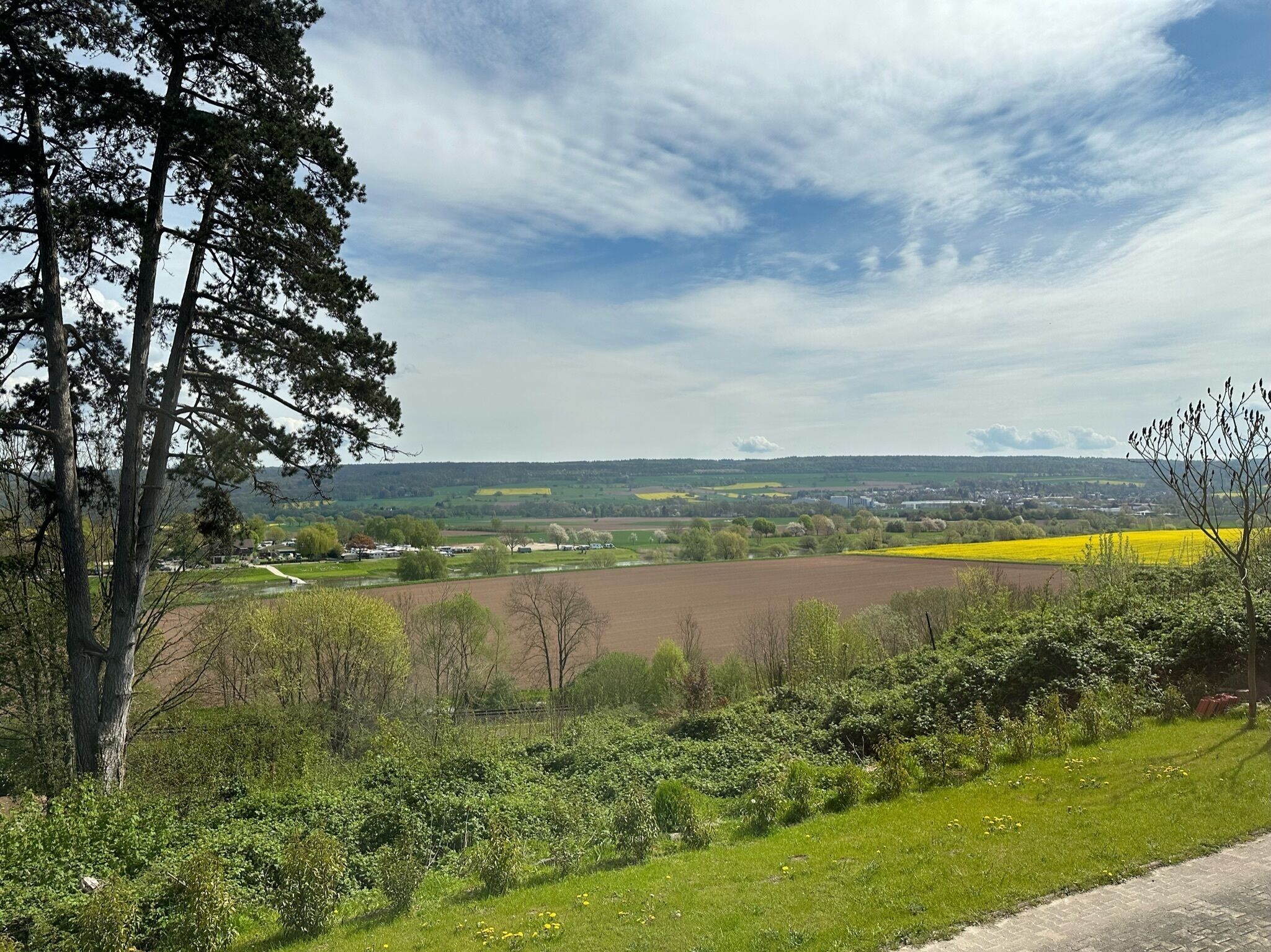 Un paysage rural avec des champs, des arbres et un ciel dégagé.