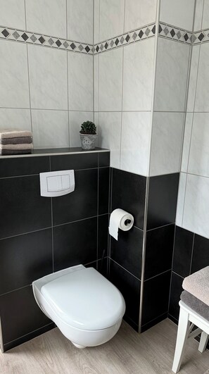 Shower, hair dryer, soap, toilet paper