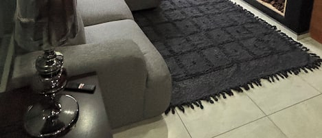 TV connectée, cheminée, lecteur de DVD, livres