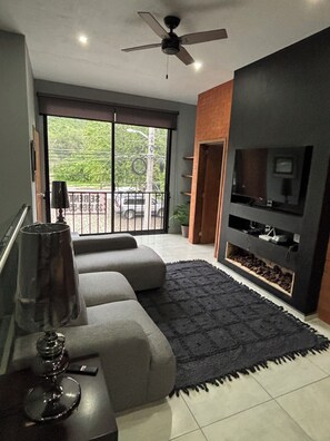 Smart TV, chimenea, reproductor de DVD y libros