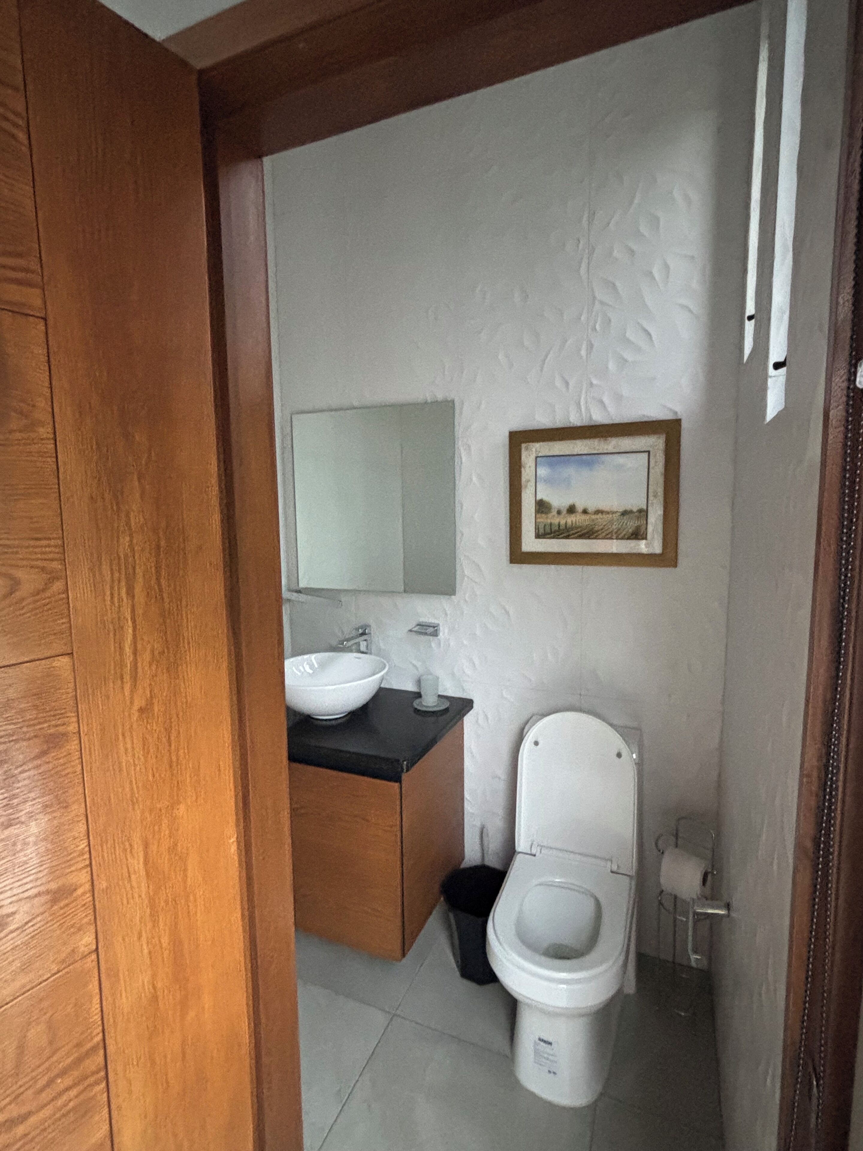 A bathroom with a wooden vanity, a white sink, a mirror, a toilet, and a framed picture on the wall.