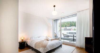 New high-end 2 BR Penthouse w Balcony
