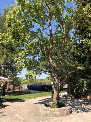 Property grounds - At the center of the trulli area near splendid beaches villa with swimming pool (Locorotondo)