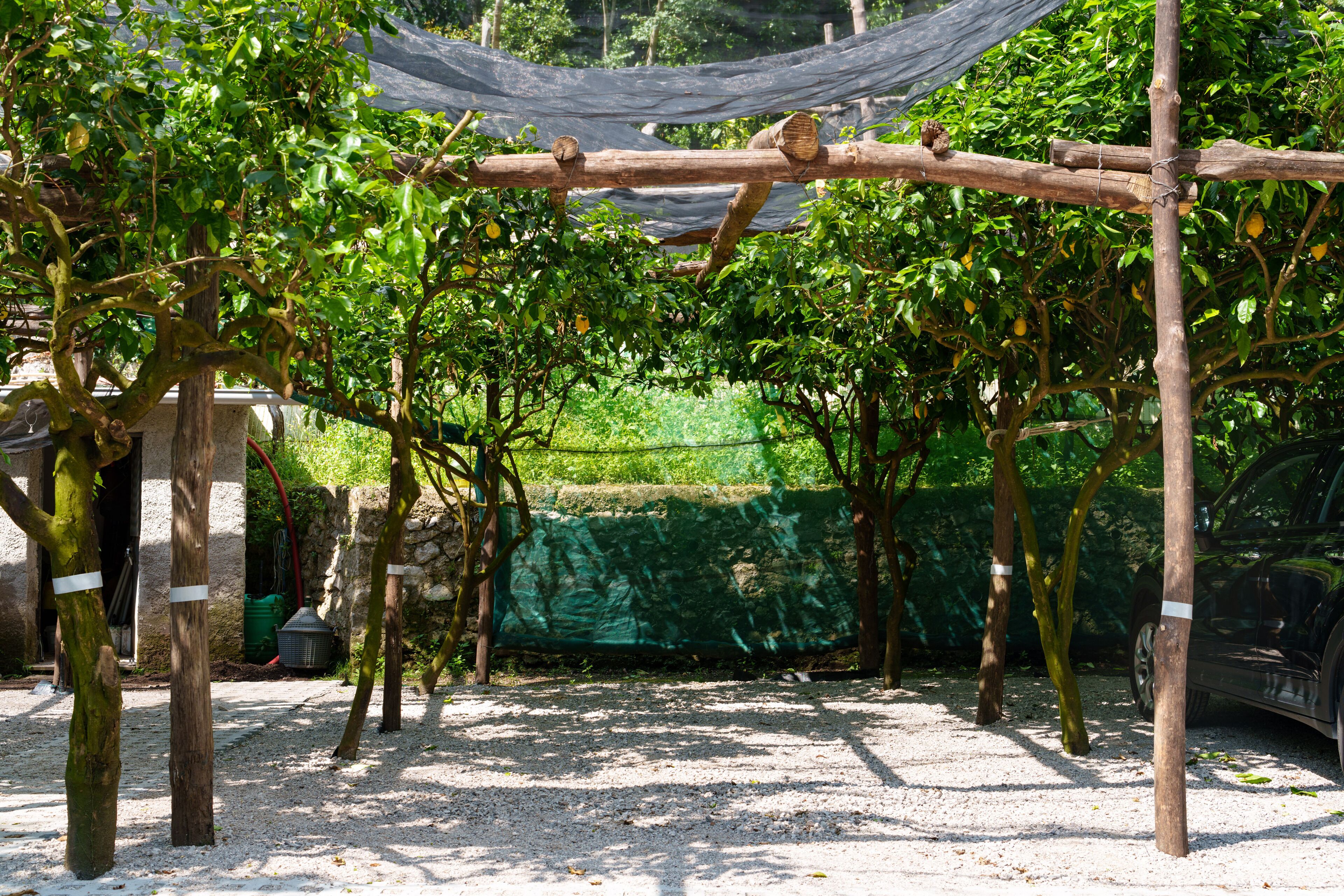 Foto - B&B Montagnella Relax