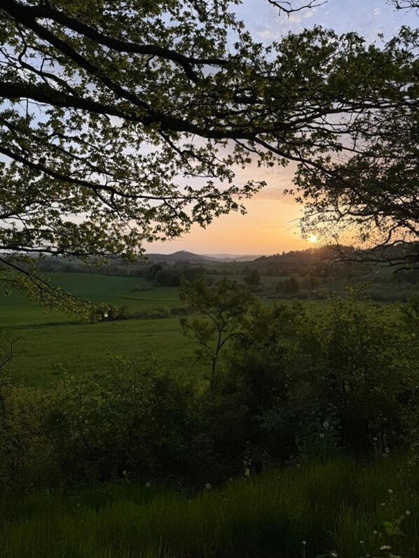 A landscape with a sunset, trees, and open fields.