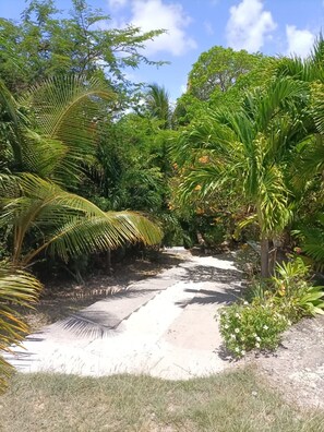 Property grounds - Les Cottages de Salines, Le Gosier, Grande-Terre, Guadeloupe (Le Gosier)
