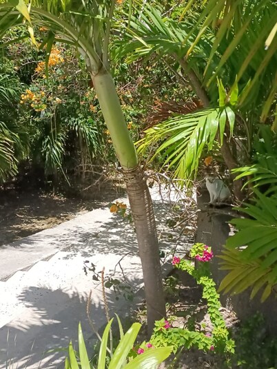 Les Cottages de Salines, Le Gosier, Grande-Terre, Guadeloupe