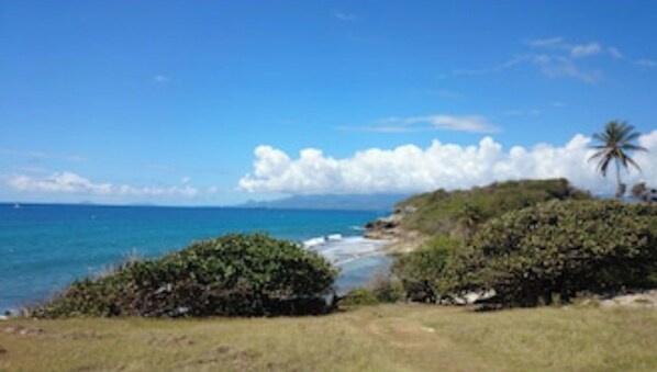 Beach - Les Cottages de Salines, Le Gosier, Grande-Terre, Guadeloupe (Le Gosier)