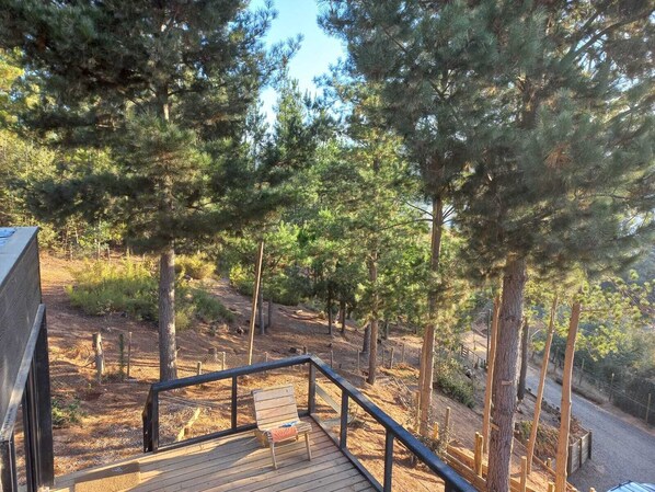 Parco della struttura