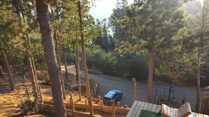 Une terrasse en bois avec une balançoire et un petit espace de jeux, le tout entouré d’arbres.