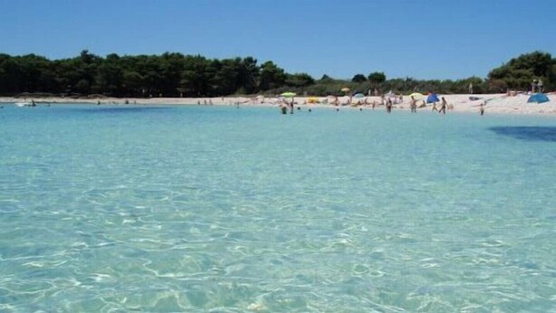 A beach with clear turquoise water, sandy shore, and trees in the background. - Seafront Ground Floor (Zadar)