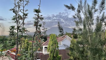 山景