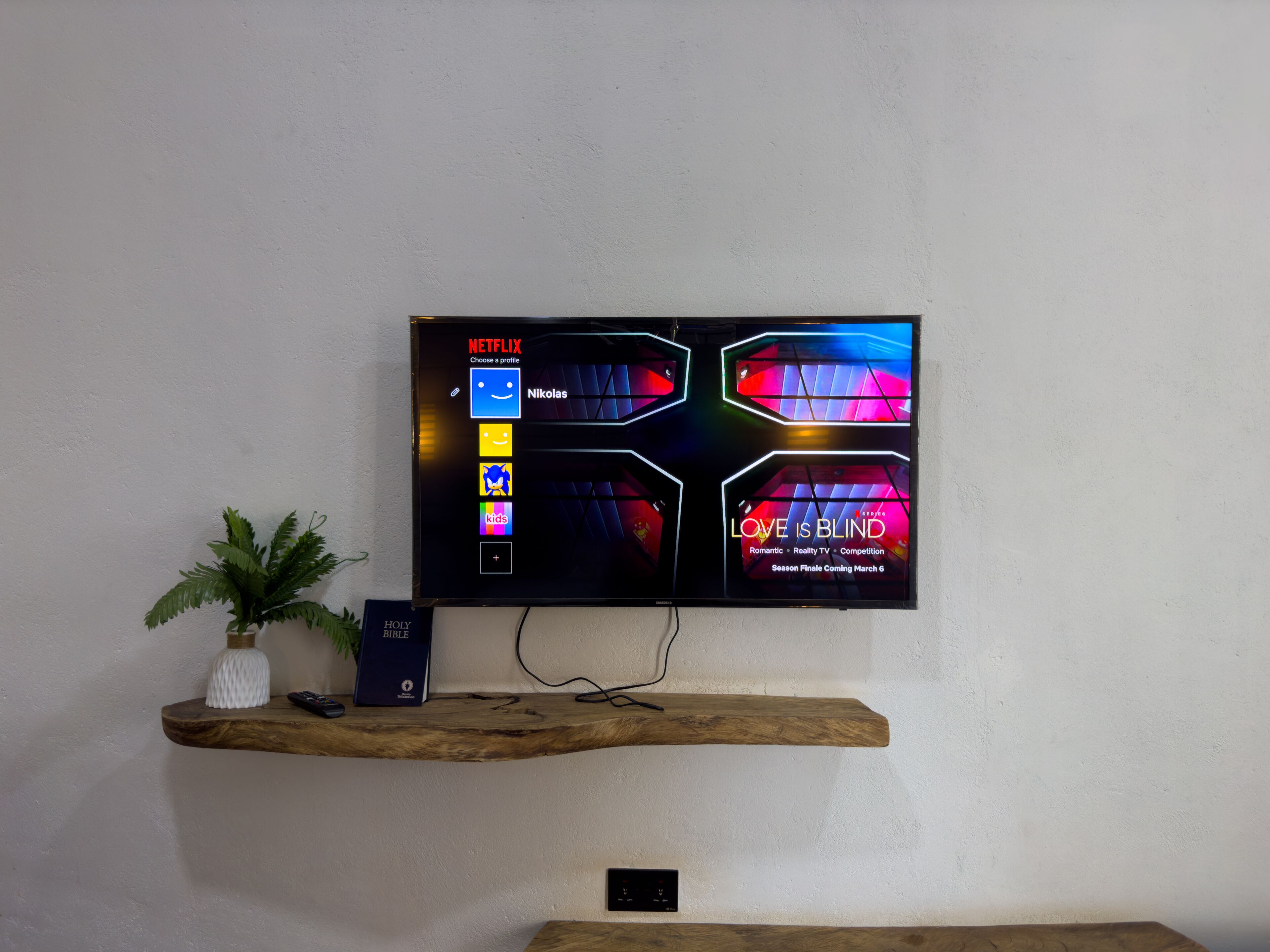 A flat-screen TV mounted on a wall with a wooden shelf below displaying a plant and a book.