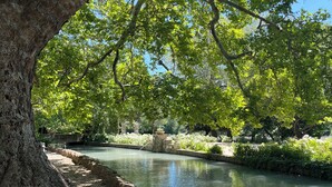 A tranquil garden with a pond, lush greenery, and pink flowers. - Private castle with swimming pool in Provence (Lamanon)