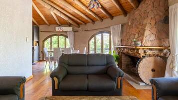 Smart TV, chimenea, libros y estéreo