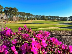 Golf - Oceanfront Resort w Water Park/Amazing Ocean Views! (Myrtle Beach)