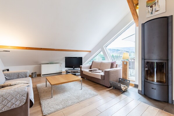 TV, fireplace, DVD player, books