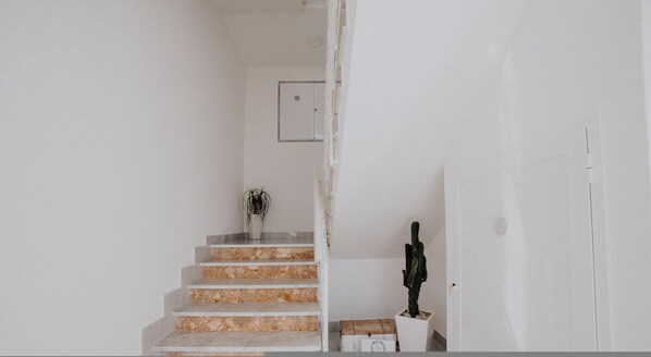 1 bedroom - Casa Ortensia in Monopoli (Monopoli)