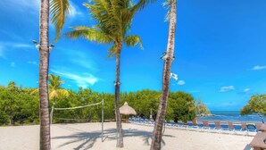 A beach volleyball net, palm trees, and beach chairs under a clear sky. - Toes in the Sand - 2 Bedroom Condo Sleeps 4 (Tavernier)