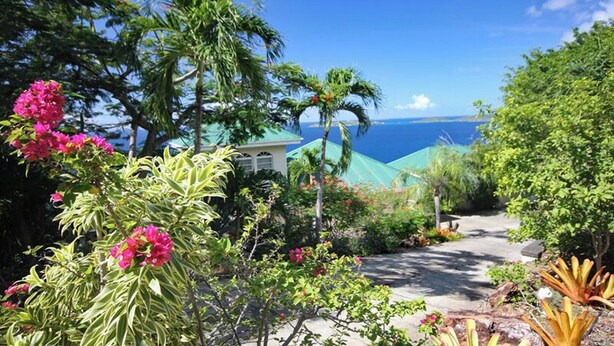 A lush garden with tropical plants and a view of the ocean.