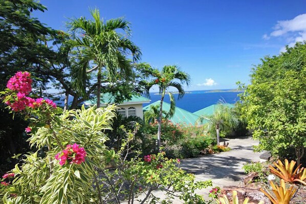 A lush garden with tropical plants and a view of the ocean.