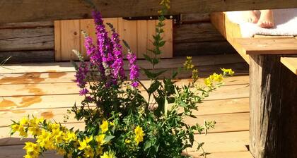 Wellness,- Entspannung und Gesundheit mit islÀndischer Sauna, Zuber und Massagen