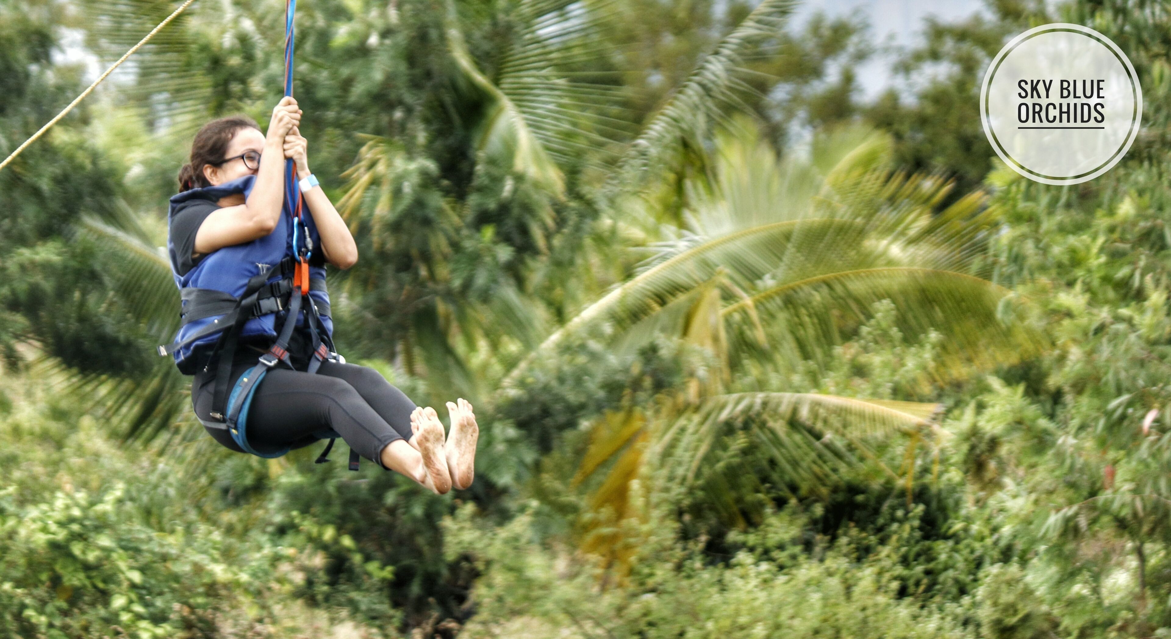 A person zip-lining through a lush, green forest.