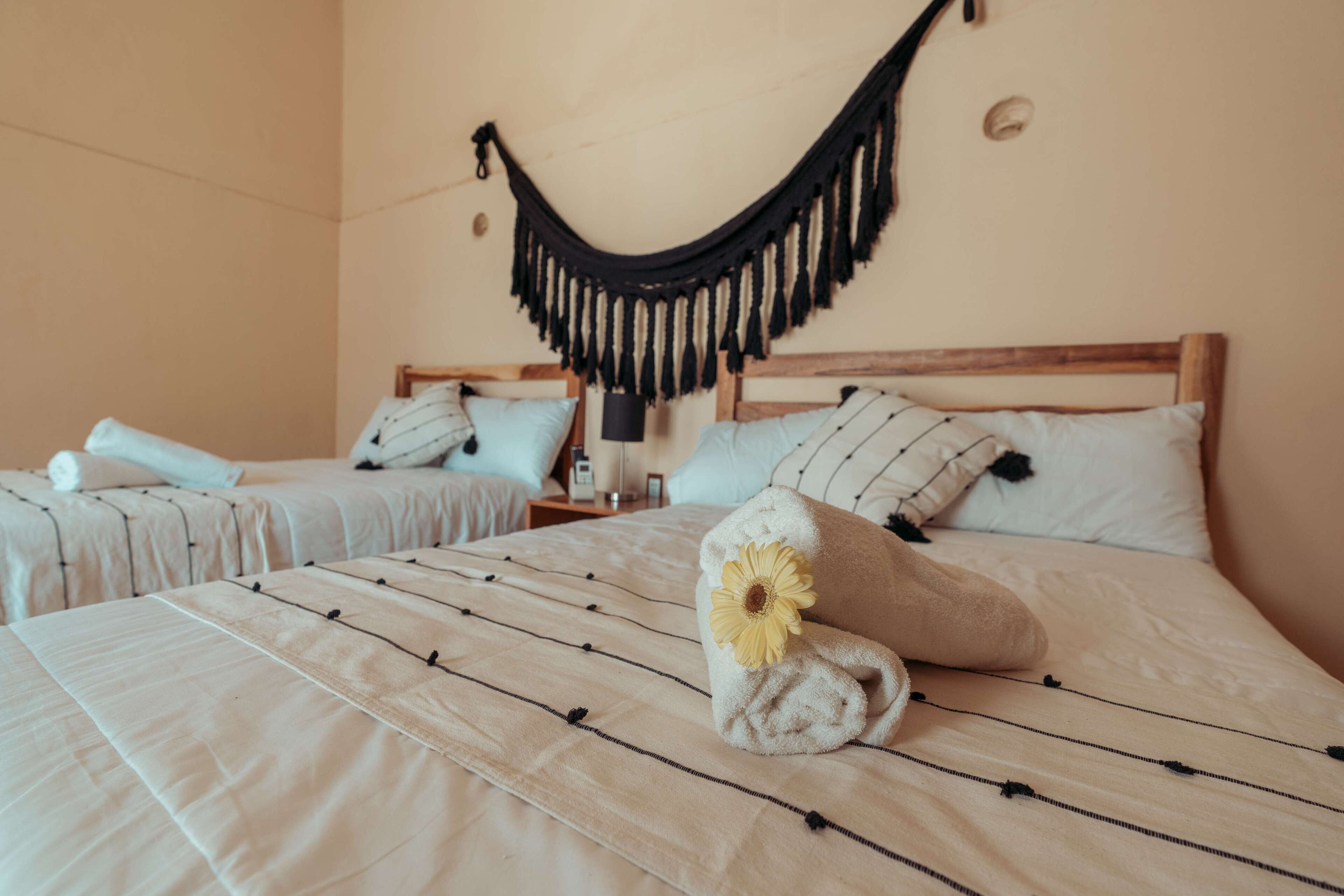 Foto - Hotel Casa Piedad