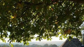 Ein rustikaler Sitzbereich im Freien mit einer strohgedeckten Struktur, umgeben von einer üppigen grünen Landschaft und freiem Blick auf die Landschaft.