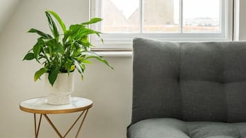 TV, Netflix, streaming services