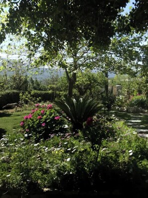 Un jardin où l’on trouve une grande variété de plantes et de fleurs, un sentier et un grand arbre.