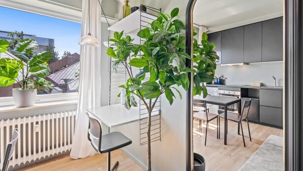 Une cuisine moderne avec des meubles de couleur sombre, un plan de travail blanc et un coin repas comprenant une table et des chaises. Des plantes en pot sont posées sur le rebord de la fenêtre et un radiateur se trouve sous la fenêtre.