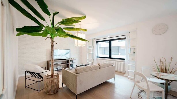 A modern living room with a sofa, a dining table, a TV, and a large plant.