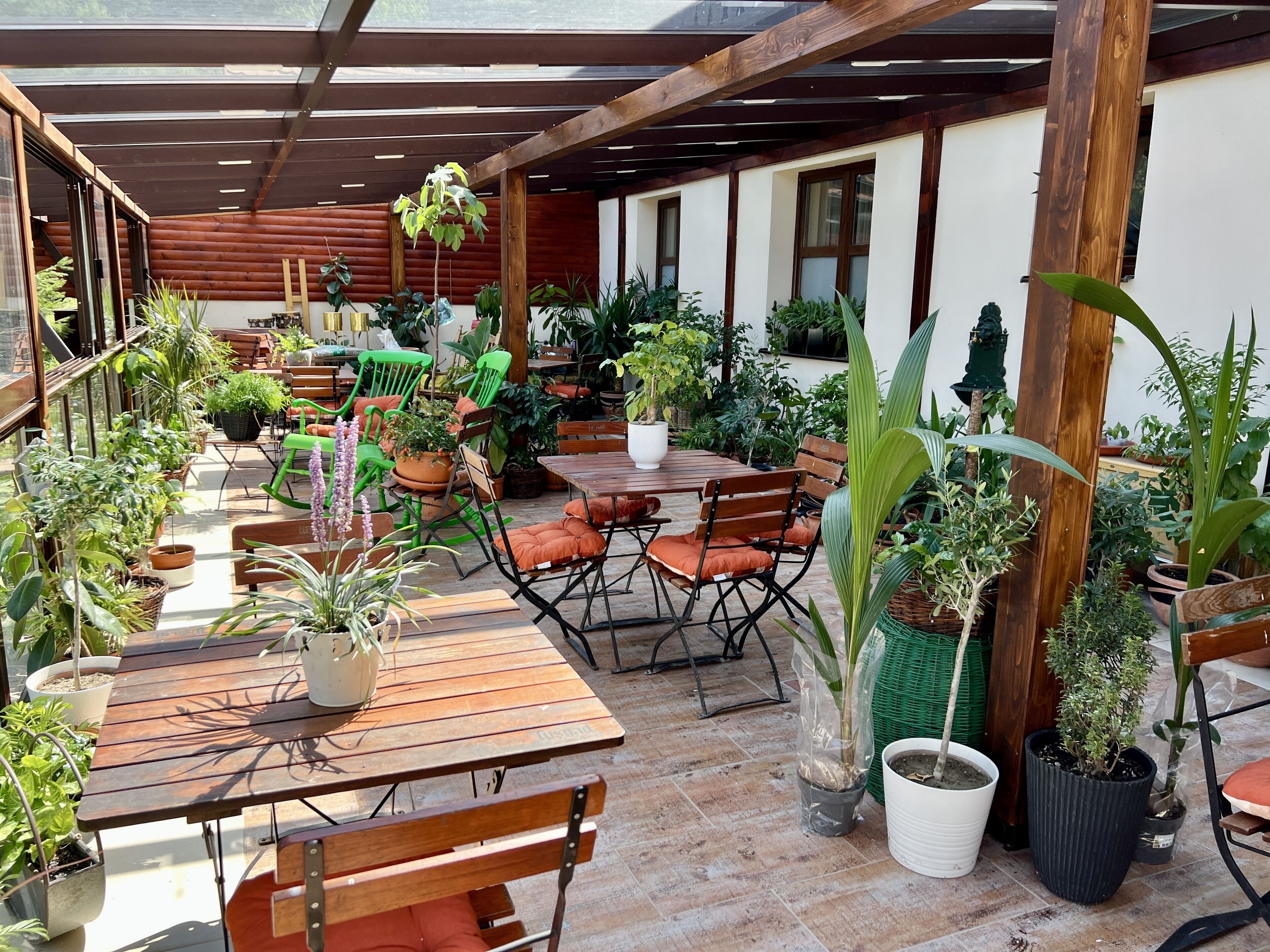 Un patio al aire libre con mesas y sillas de madera, rodeado de plantas en macetas y una pérgola de madera.
