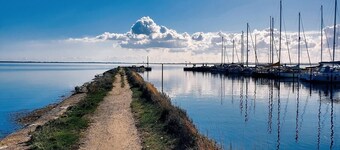 Ferieleilighet rett ved havnen i Fehmarn-Orth
