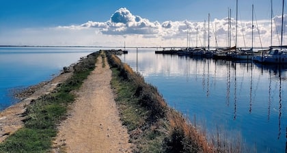 Ferienwohnung direkt am Hafen in Fehmarn-Orth
