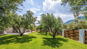 A well-maintained outdoor area with a grassy lawn, trees, and a wooden fence.