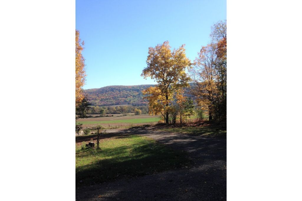 Un paysage rural avec un chemin de terre menant à un champ et des arbres aux feuilles d’automne.