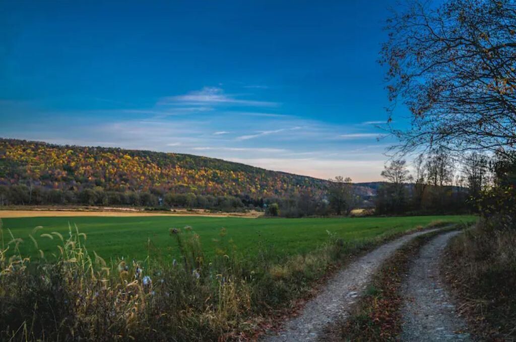 A rural landscape with a dirt path leading through fields and a hill with autumn foliage.