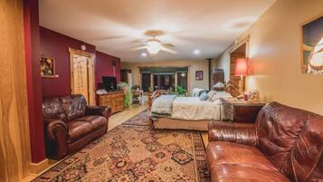 TV, books, video library