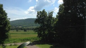 Ländliche Landschaft mit einer Feldstraße, die zu einem Feld führt, umgeben von Bäumen und Hügeln.