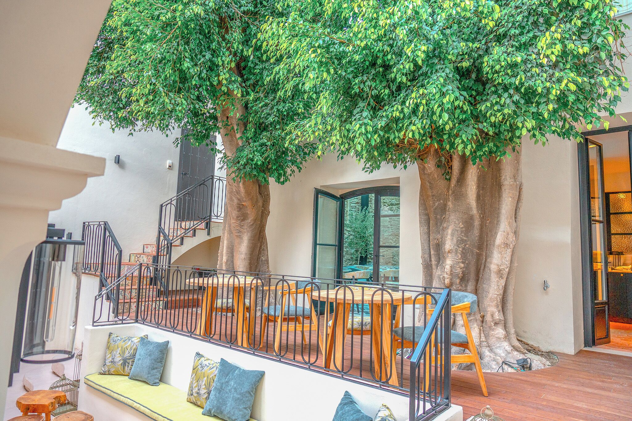 A modern interior with a staircase, seating area, and a large tree.