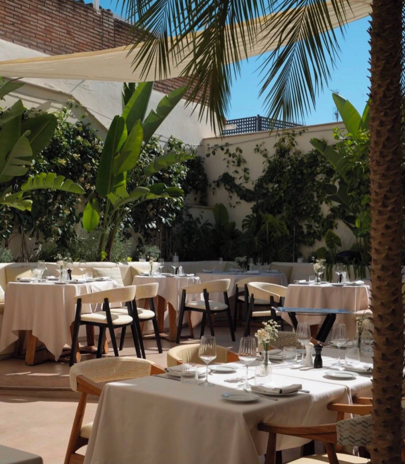 Un espacio de comedor al aire libre con varias mesas y sillas, rodeado de abundante vegetación y un cielo despejado.
